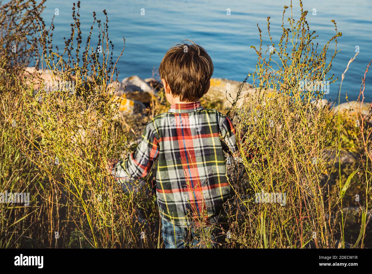 A child plays outdoor by the seaside discovering the beauty of nature gaining eagerness, learning what the nature is like and feeding his interest Stock Photo