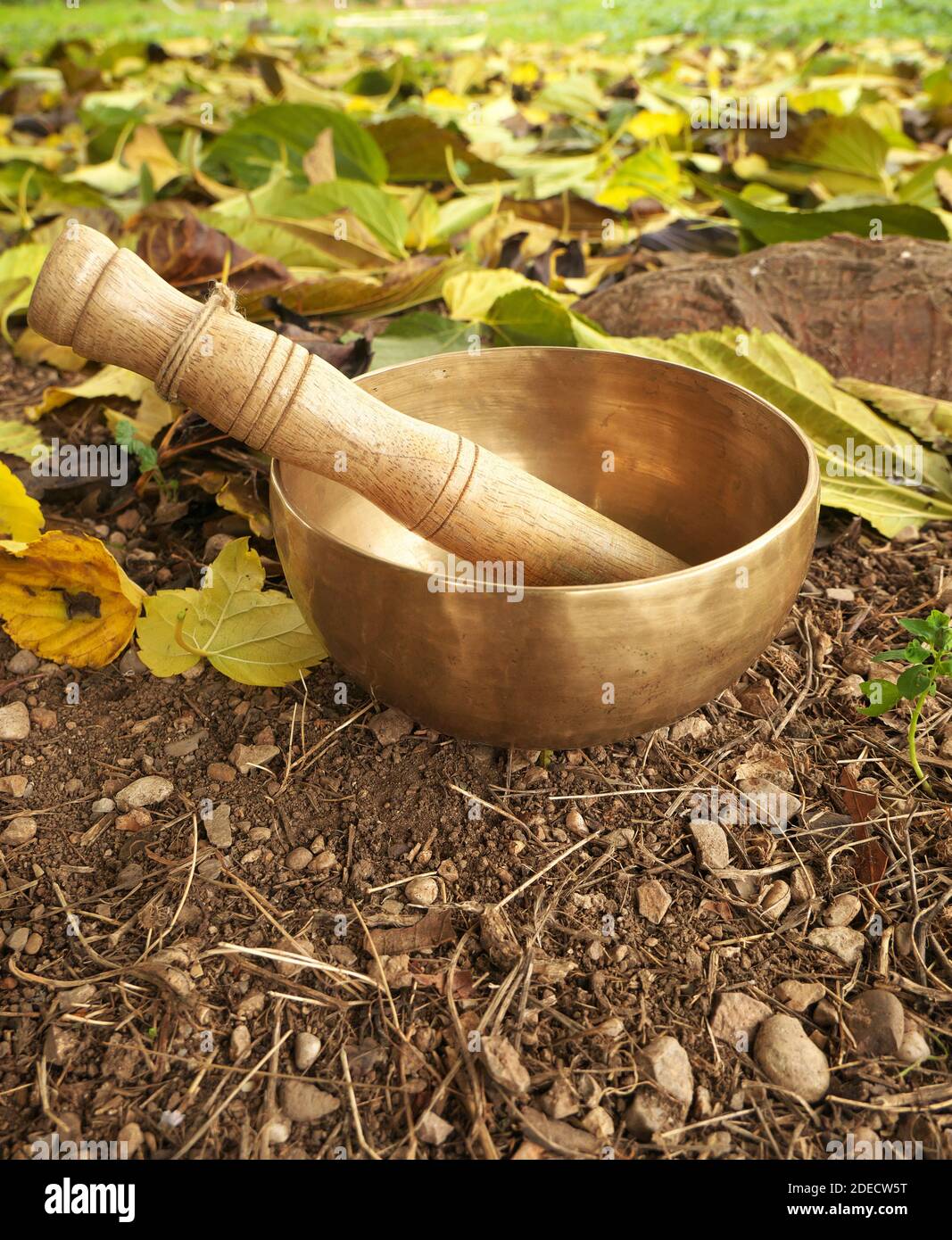 Singing bowl placed on autumn leaves with the forest in the background, during the sunset Stock Photo