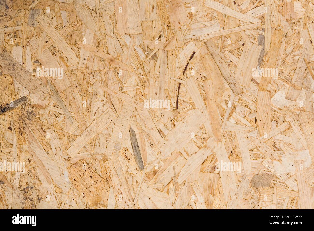Pressed wood shavings sheet for construction close-up. Background. Stock Photo