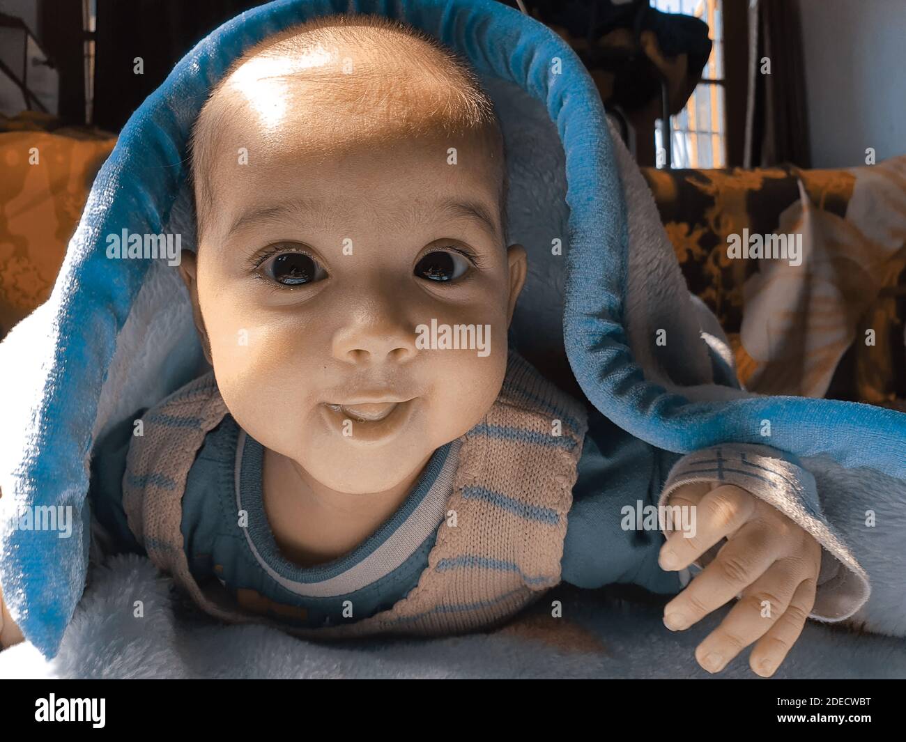 Smiling kid photographs at home under blanket looks beautiful. Digital