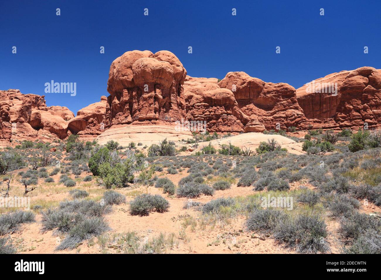 America landscape - Arches National Park in Utah. Stock Photo