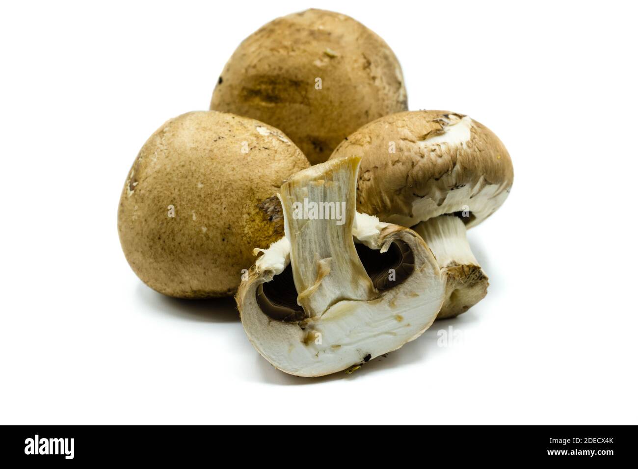 brown mushrooms isolated on white background Stock Photo