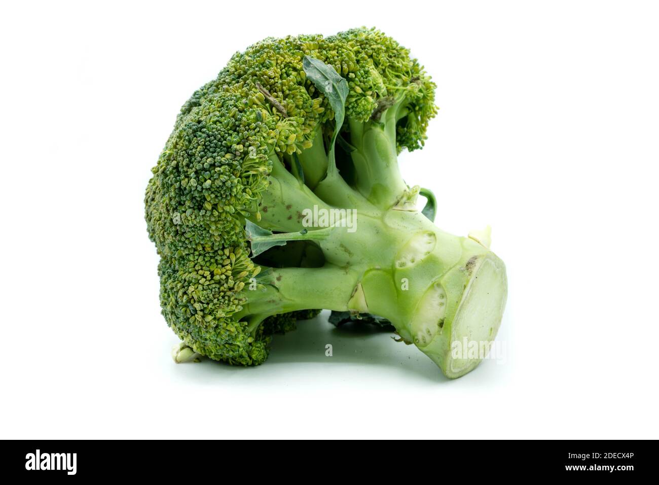 Broccoli isolated on white background Stock Photo