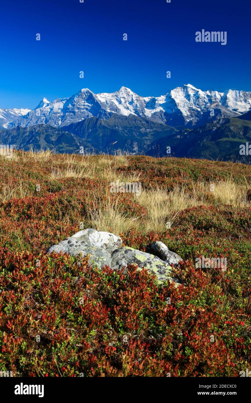 Swiss alps view hi-res stock photography and images - Alamy