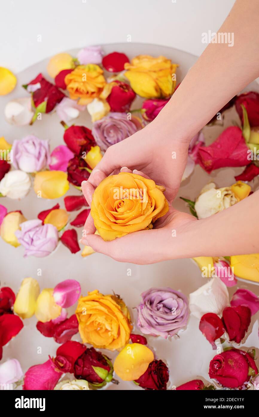 Close up photo caucasian woman taking a rose petals flower bath to