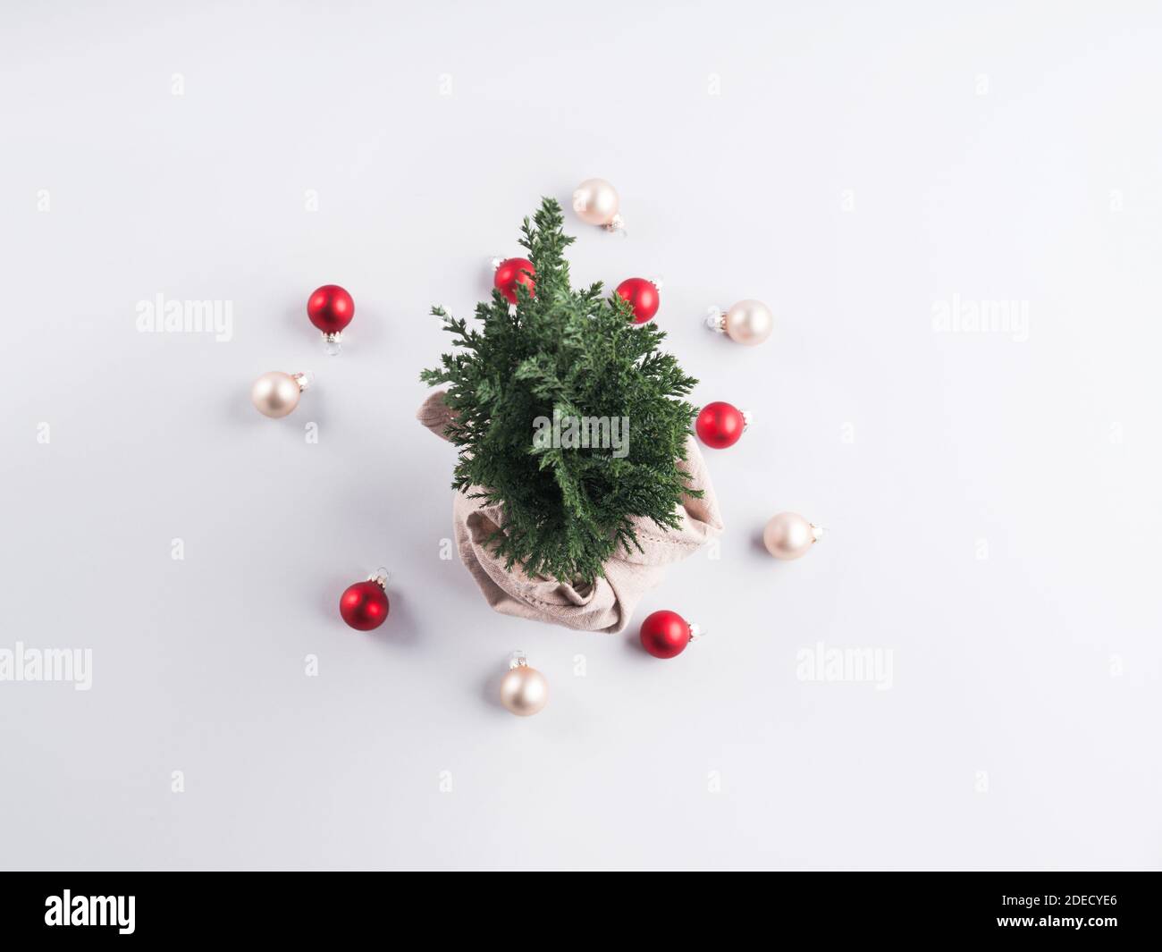 Christmas tree plant as gift wrapped in textile Stock Photo Alamy