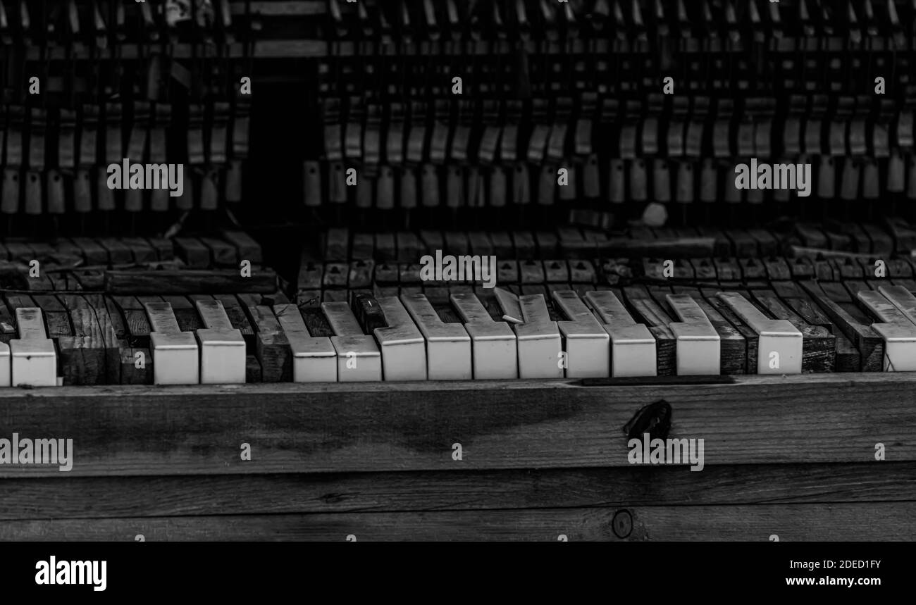 Close up black and white image of an abandoned wrecked piano sitting outdoors. . High quality photo Stock Photo