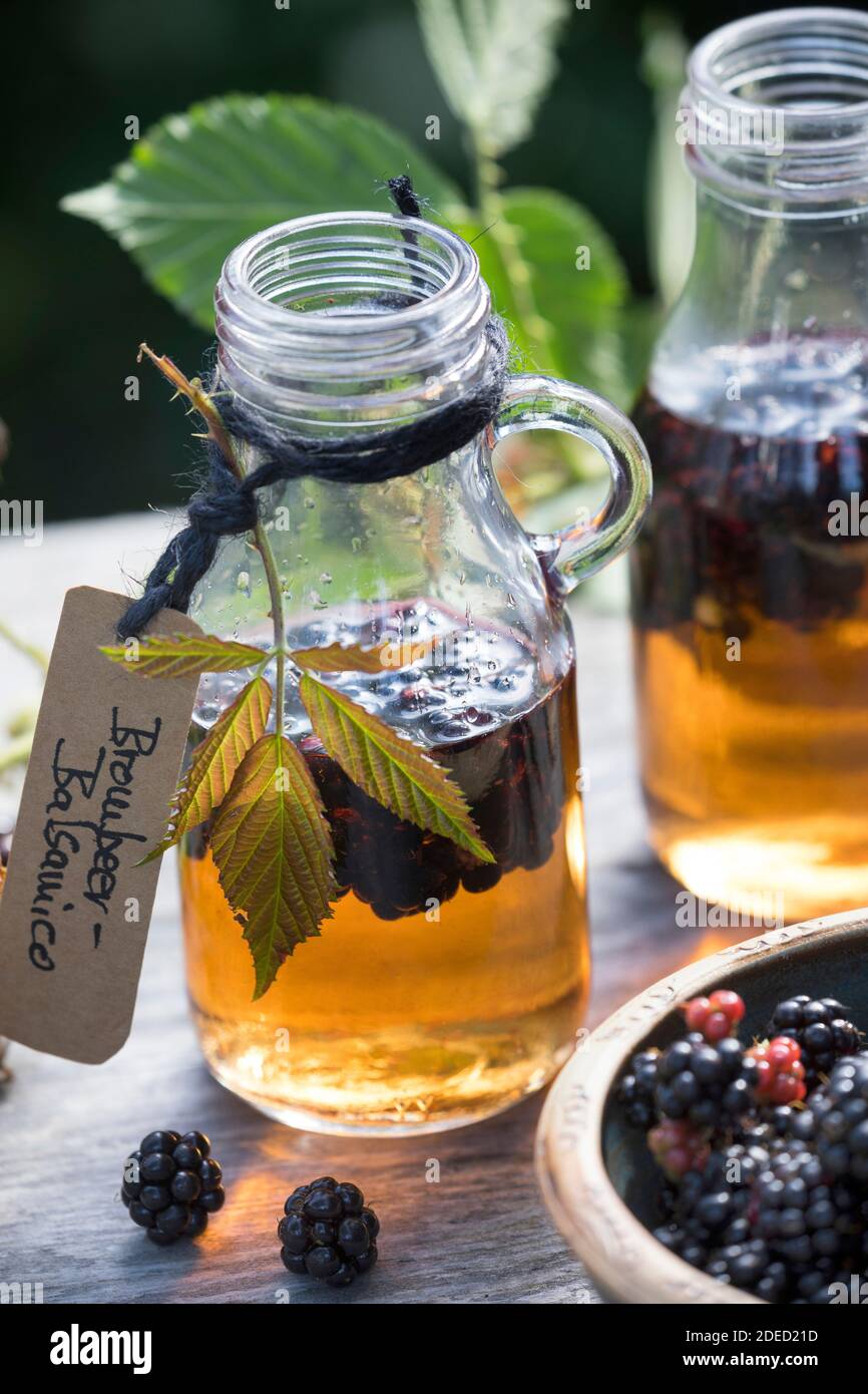 blackberry balsamico, blackberries are pickled in balsamic vinegar, Germany Stock Photo