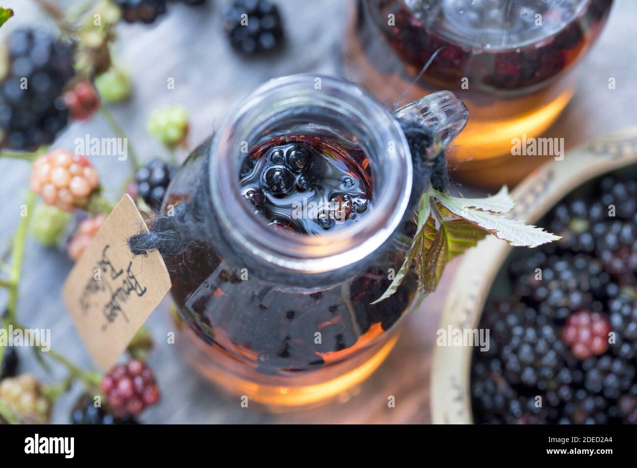 blackberry balsamico, blackberries are pickled in balsamic vinegar, Germany Stock Photo