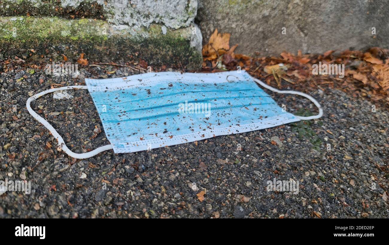 trashed face mask on a path, Germany Stock Photo