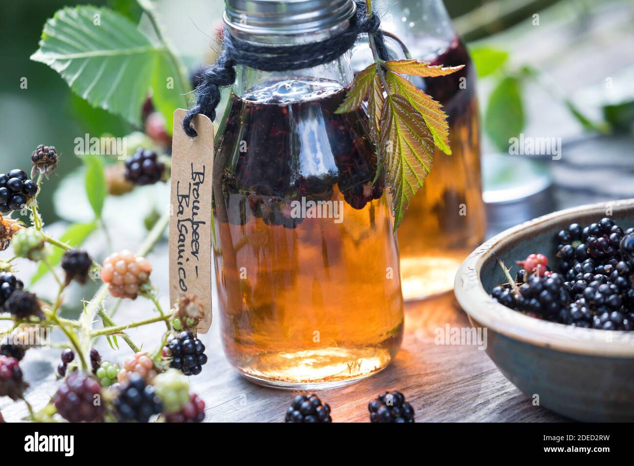 blackberry balsamico, blackberries are pickled in balsamic vinegar, Germany Stock Photo