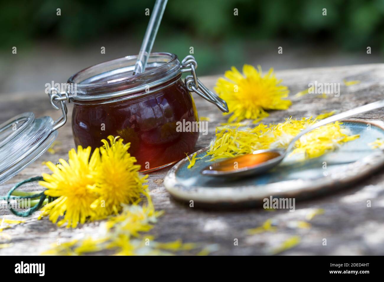 Lowenzahnblutensirup hi-res stock photography and images - Alamy