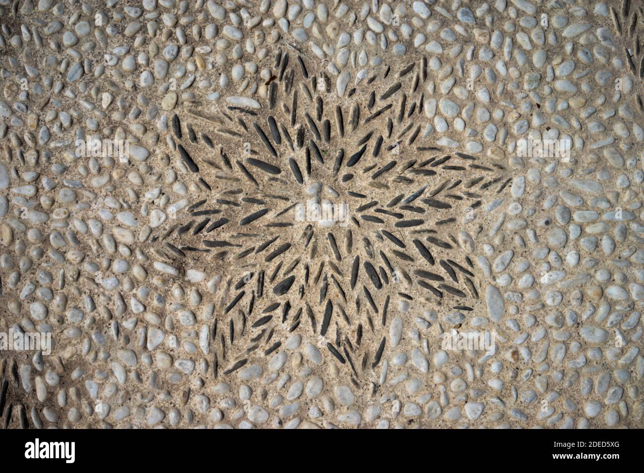 Sun flower made old natural stone pavement Stock Photo