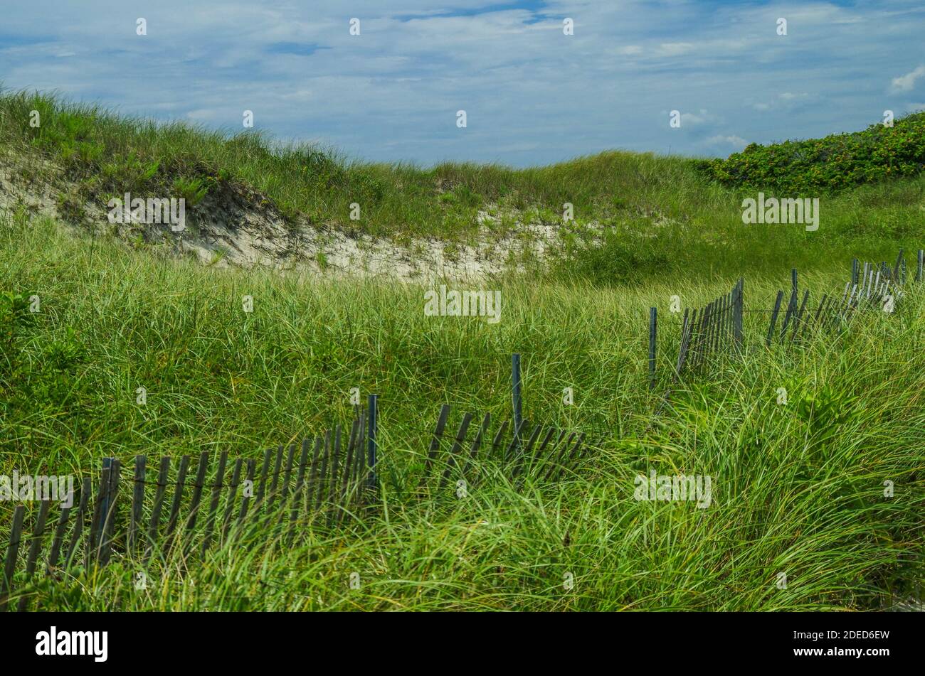 Seagrass and Fence, Horseneck Beach, Westport, MA Stock Photo Alamy