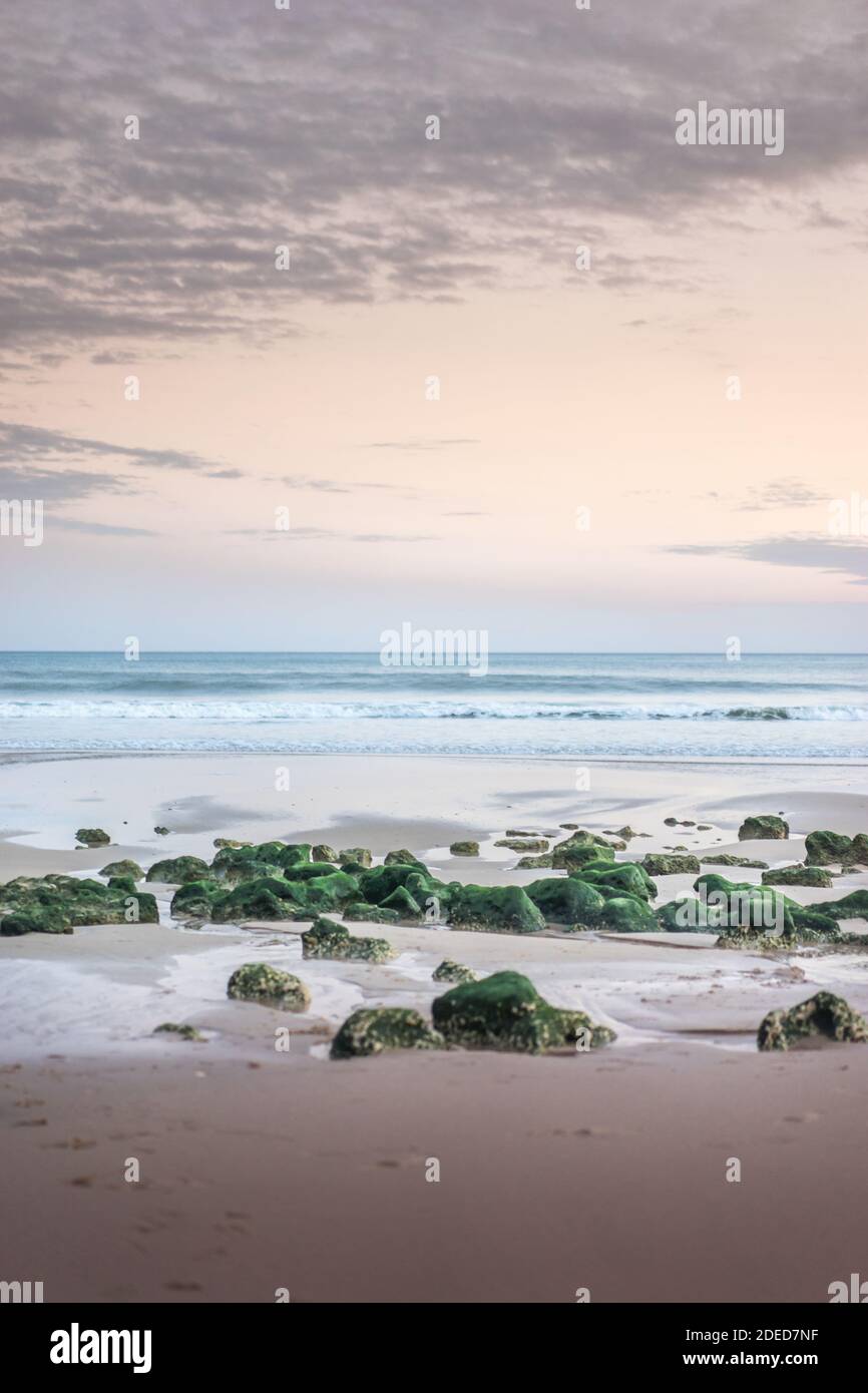 Green algae rocks hi-res stock photography and images - Alamy