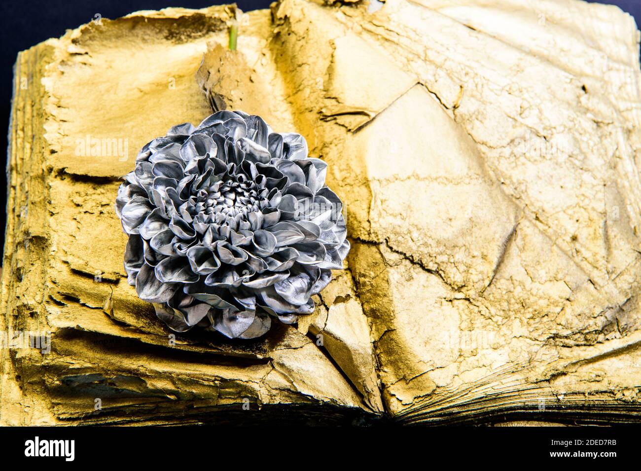 Forging and sculpture. Eternal beauty. Botany concept. Beautiful silver flower. Floral shop. Metallic steel or golden color. Flower covered metallic paint close up. Metal flower. Abstract art. Stock Photo