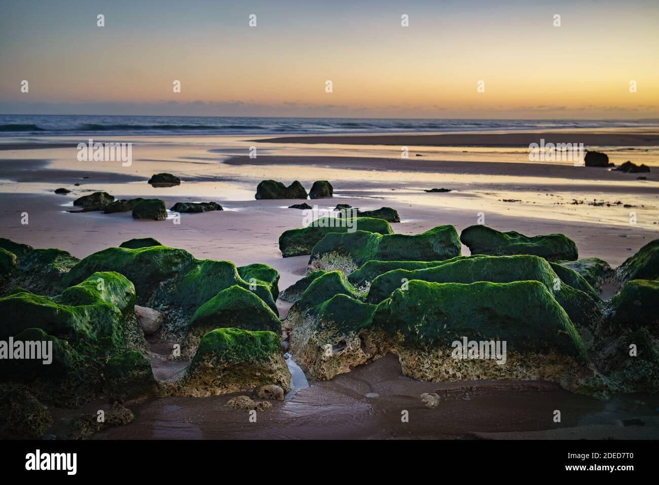 sunset on the beach green stones on shore Stock Photo