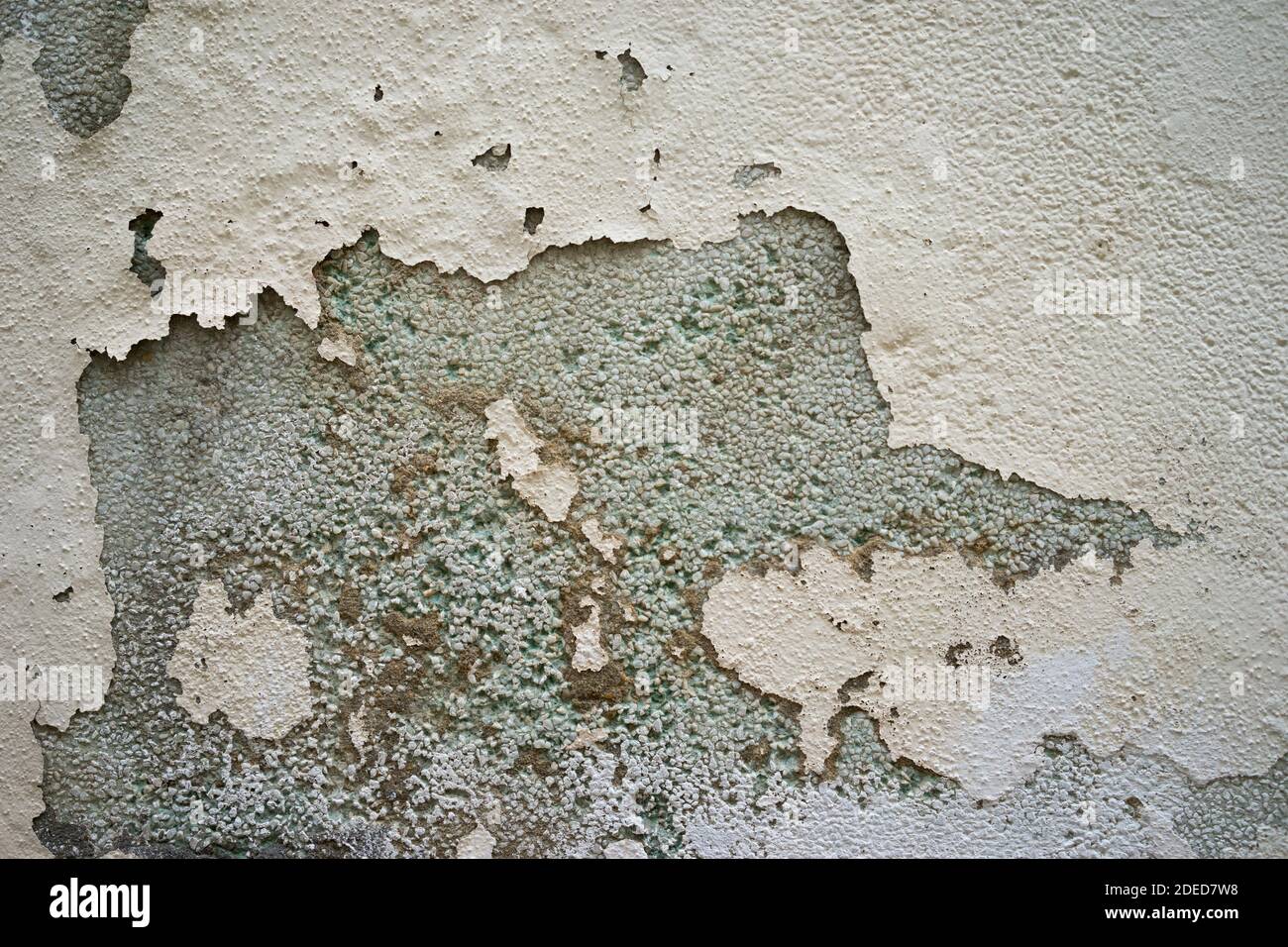 Grey cream black wall texture Stock Photo