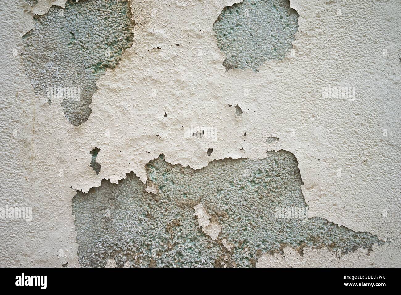 Grey cream black wall texture Stock Photo Alamy