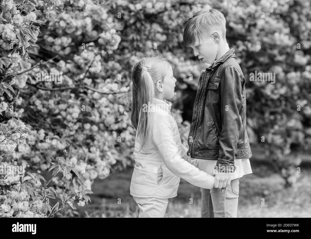 Spring time to fall in love. Kids in love pink cherry blossom. Love is