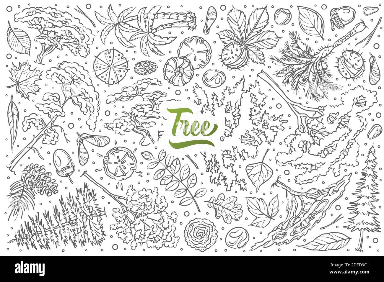 Hand drawn tree set doodle vector illustration background Stock Vector ...