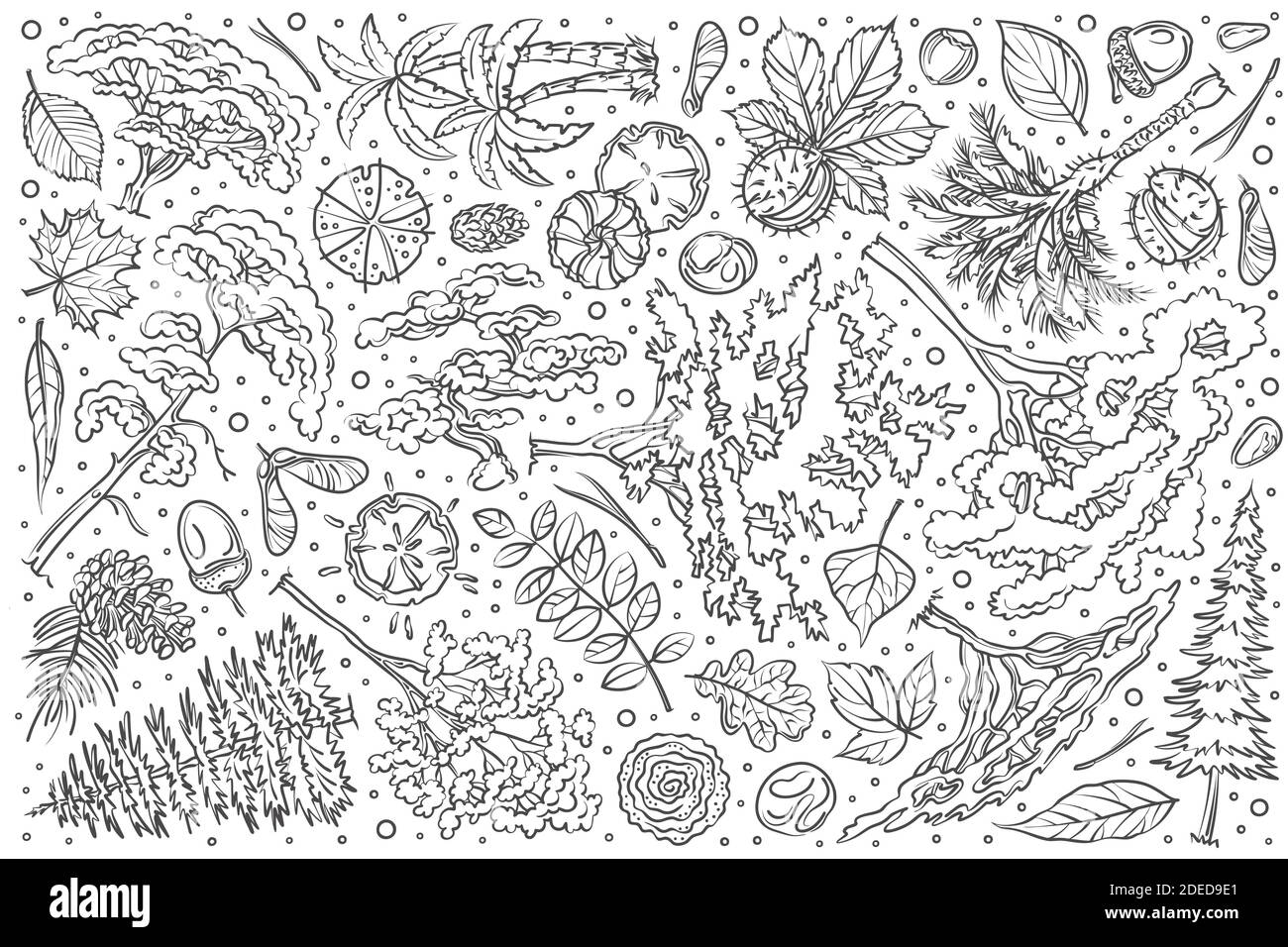 Hand drawn tree set doodle vector illustration background Stock Vector