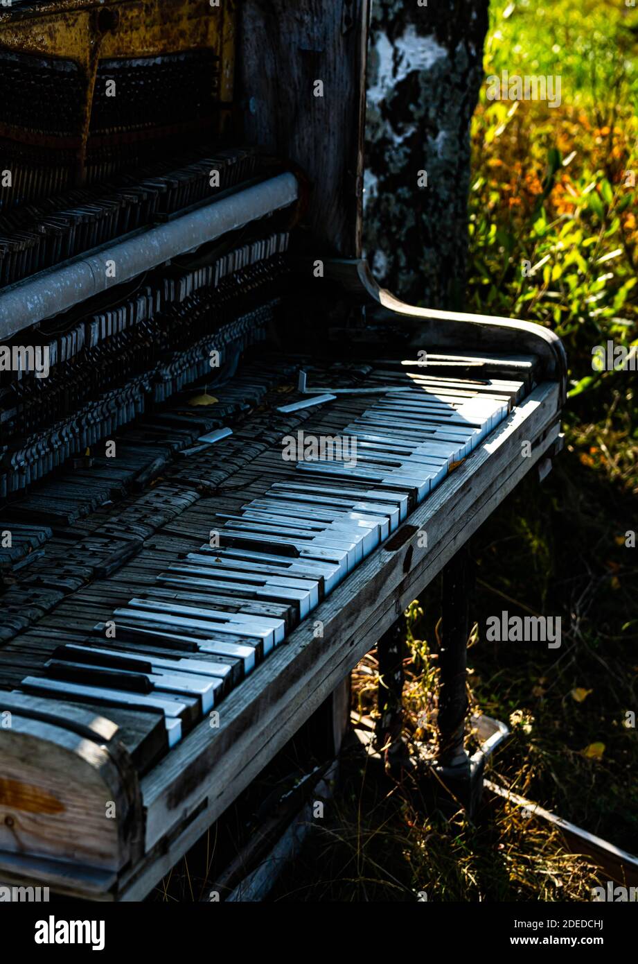 Close up of an abandoned wrecked piano sitting outdoors. . High quality photo Stock Photo