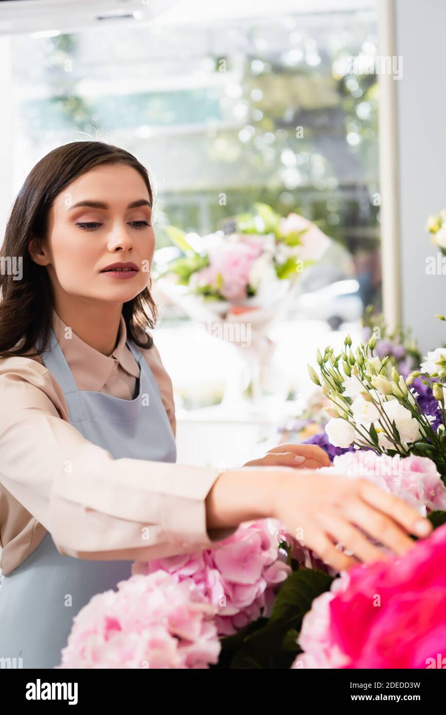 Brunette female florist caring about flowers near rack in store with blurred window on background Stock Photo