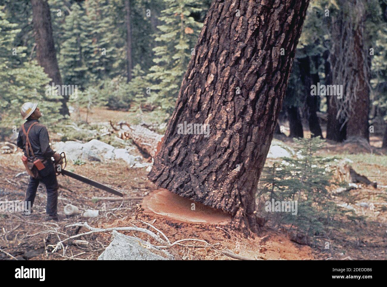 1972 1970s hi-res stock photography and images - Alamy