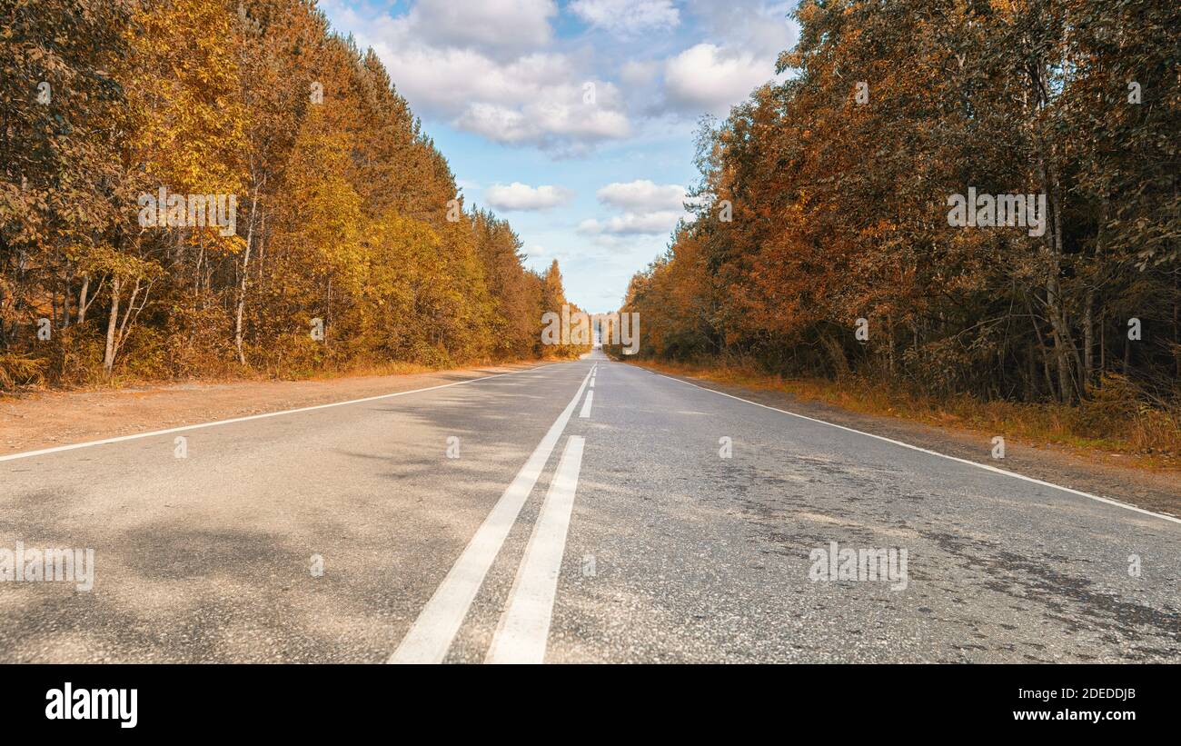 Endless country road to the horizon through autumn forest. Low point of view cinematic panoramic view Stock Photo