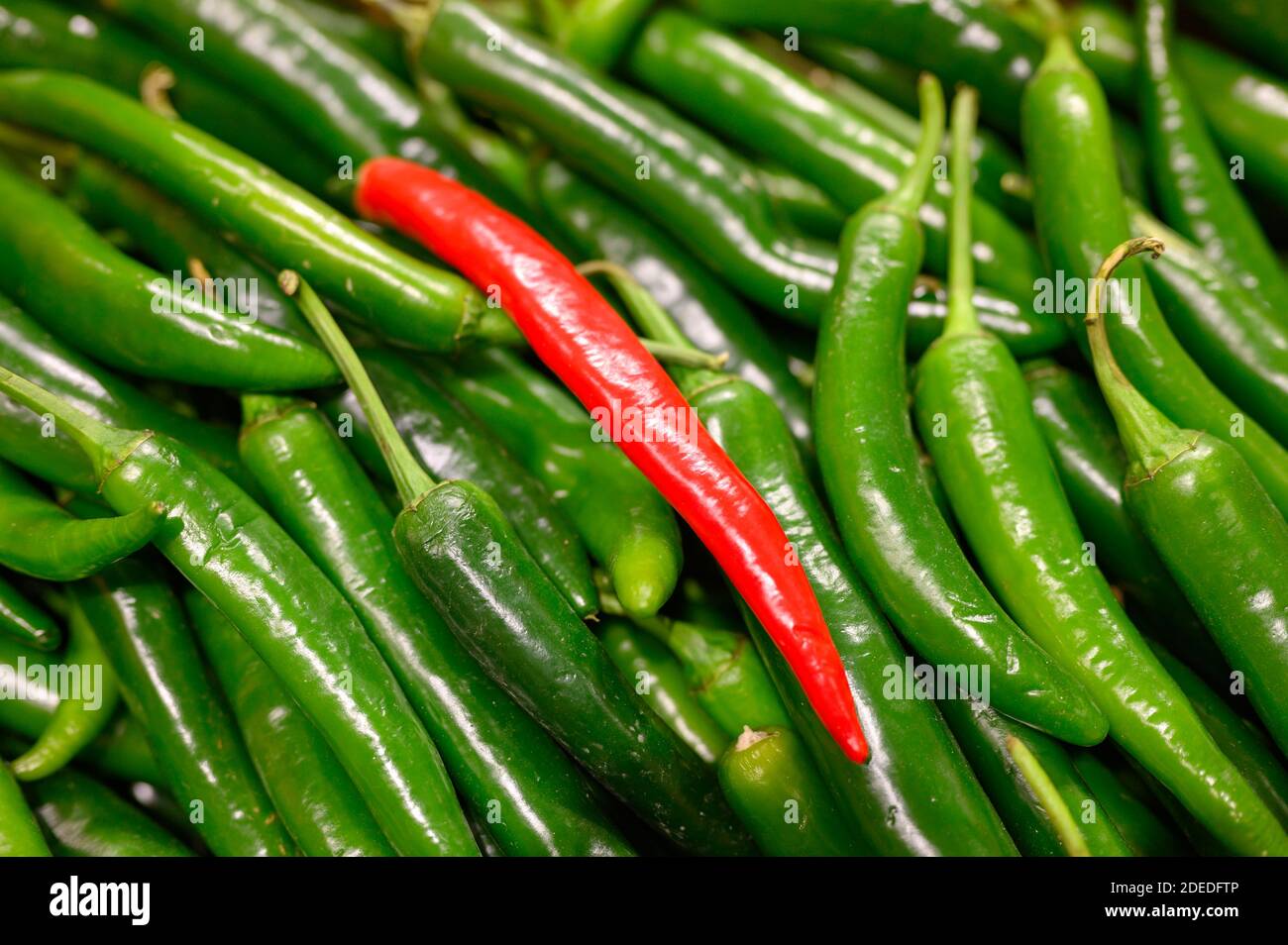 One red and many green peppers hi-res stock photography and images - Alamy