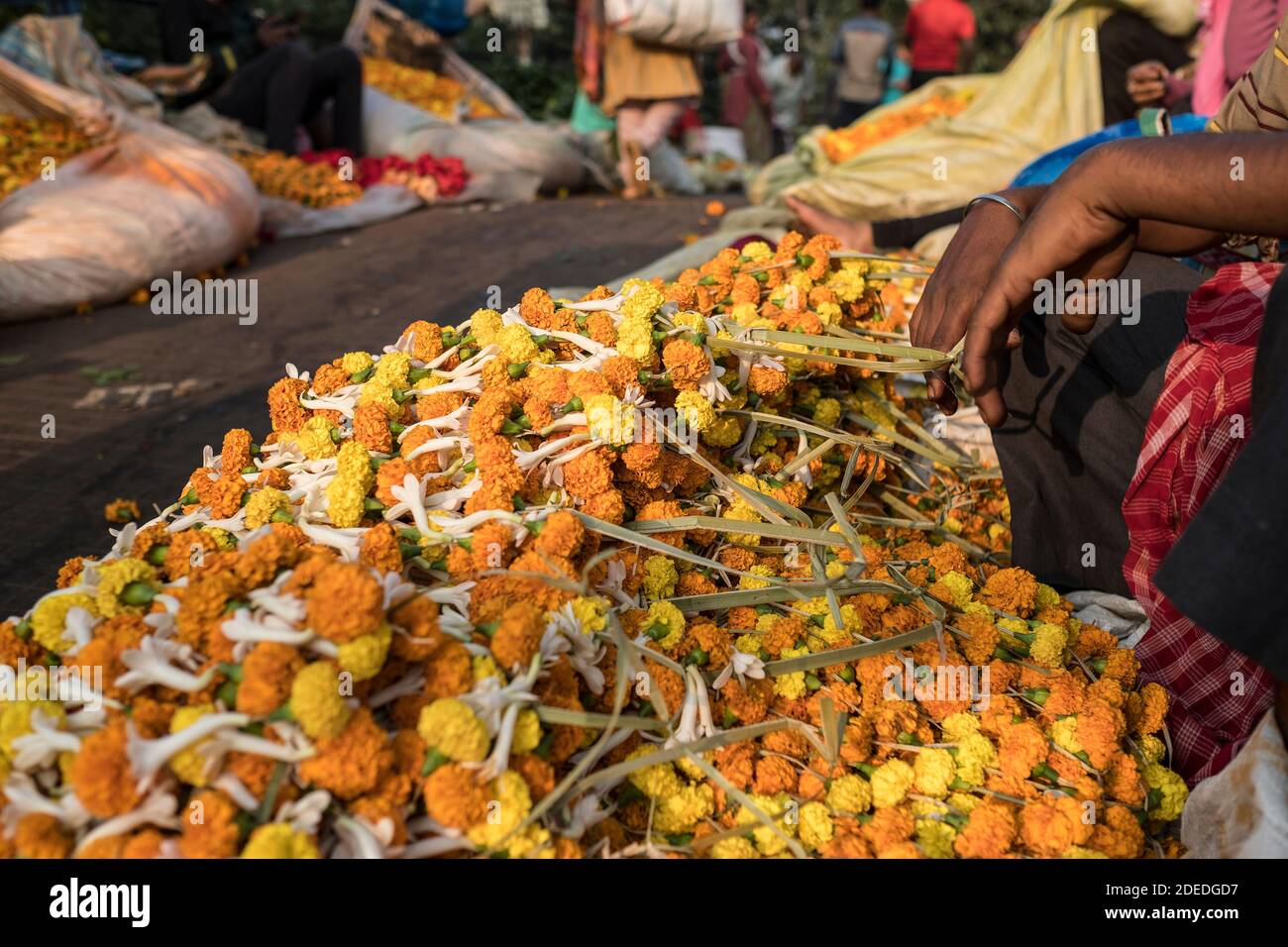 Kolkata flower market Stock Photo Alamy