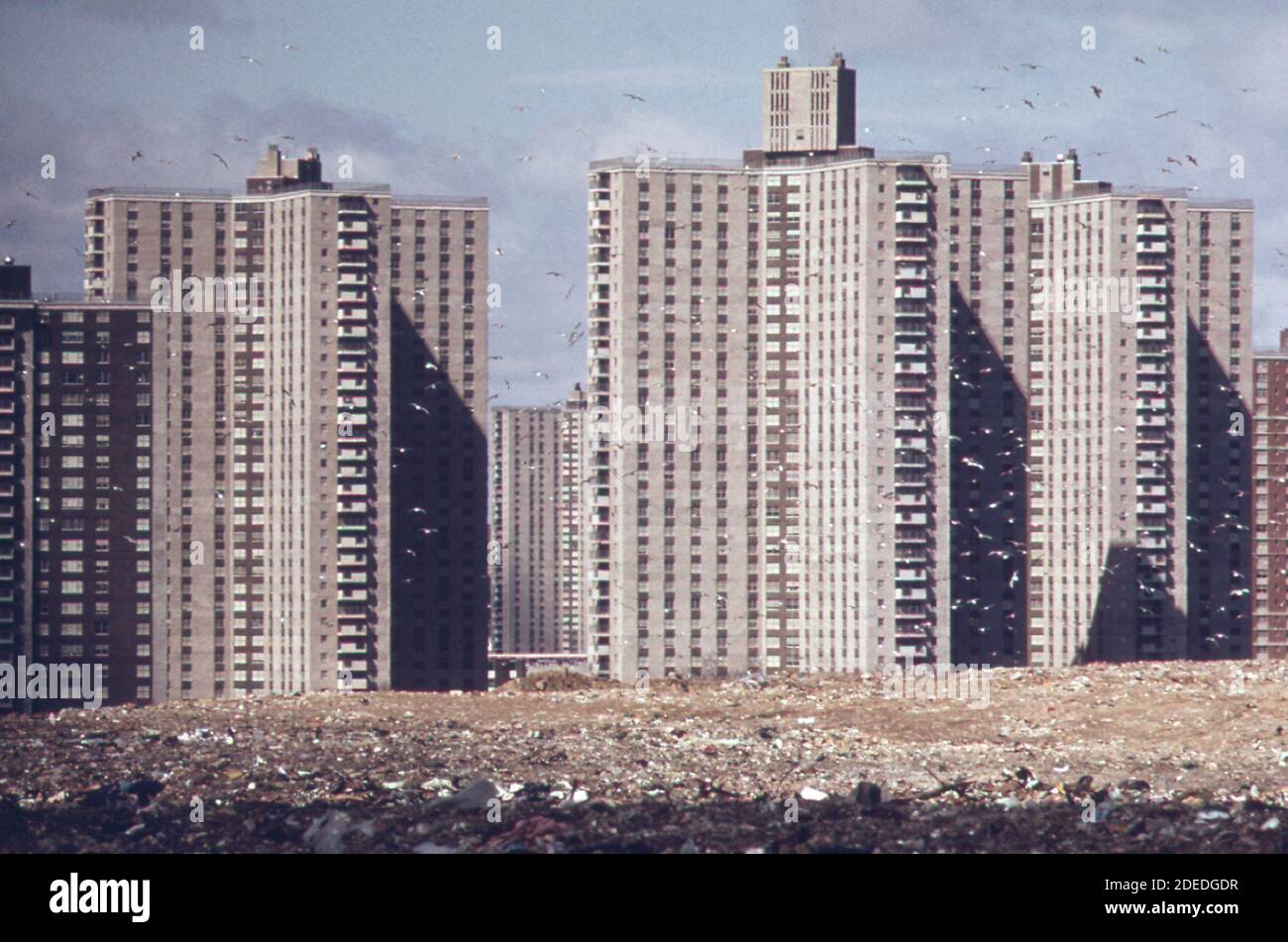 The bronx housing hires stock photography and images Alamy