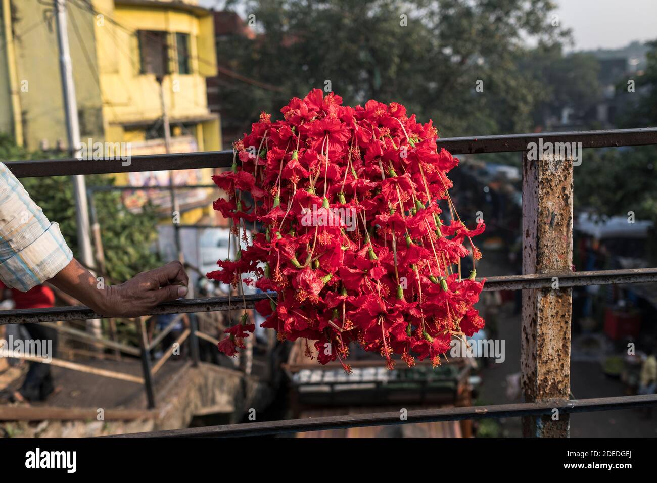 Kolkata flower market Stock Photo Alamy