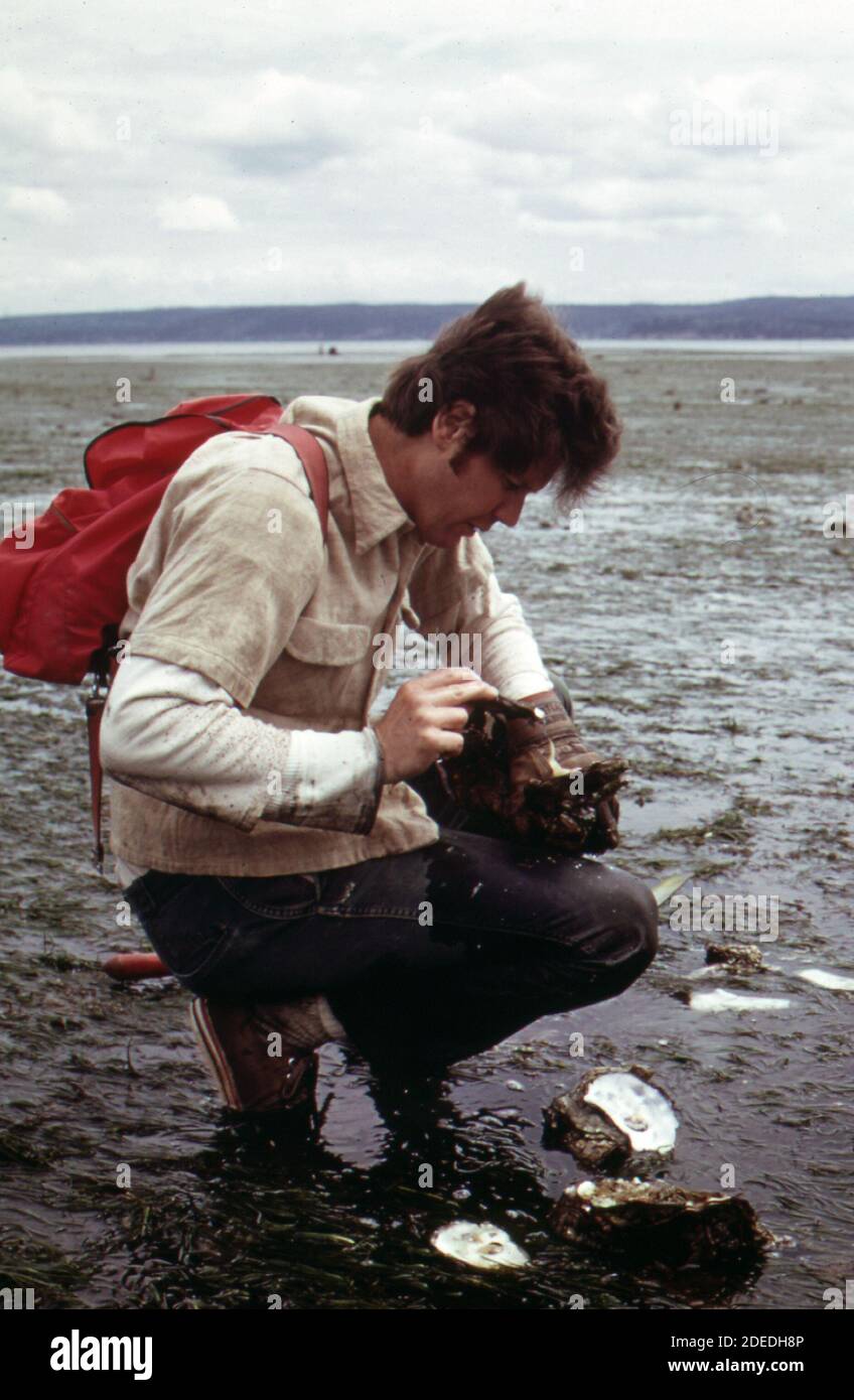 "1970s Photo (1973) Man shucks and eats oysters on the public