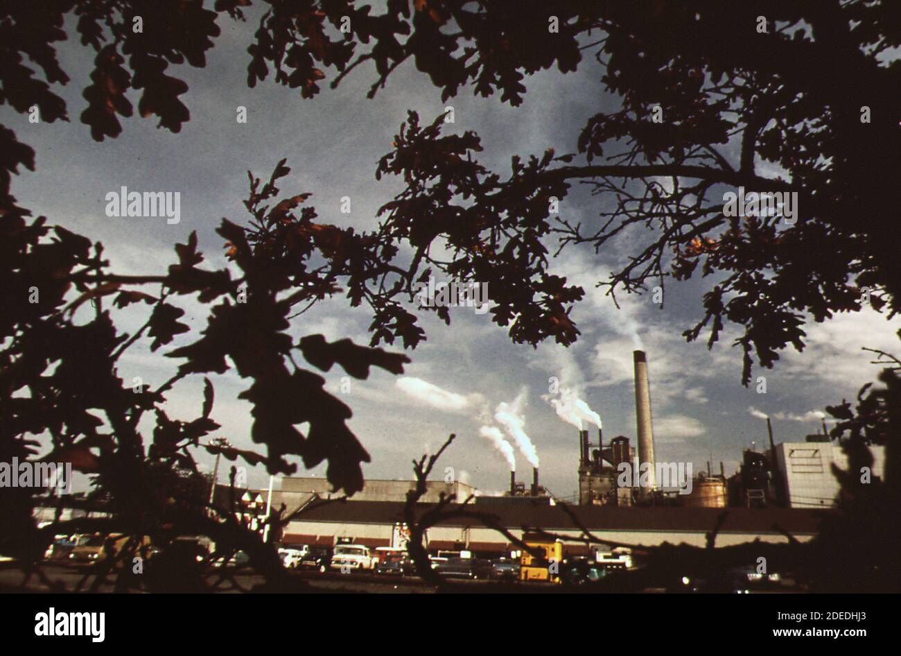 1970s Photos (1972) Flour mill (Oregon; possibly Portland Stock Photo