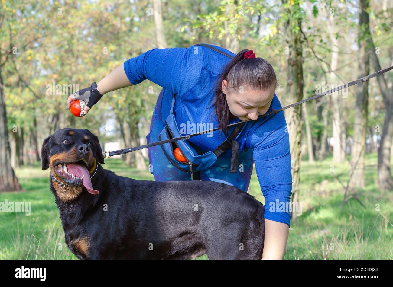 15 Minute Rottweiler pre workout for at Home