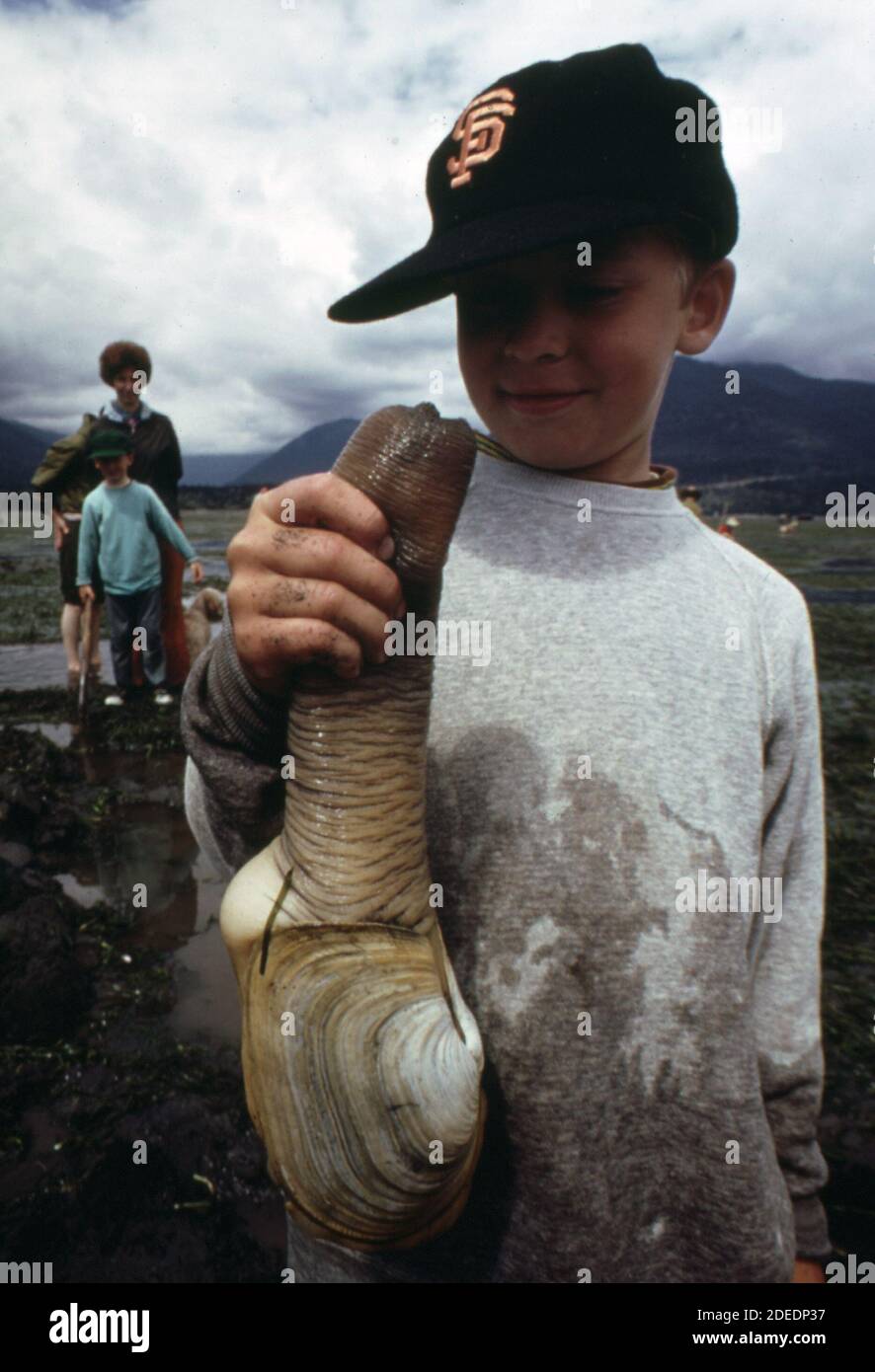 1970s Photo (1973) Seven year old boy holds large geoduck clam from