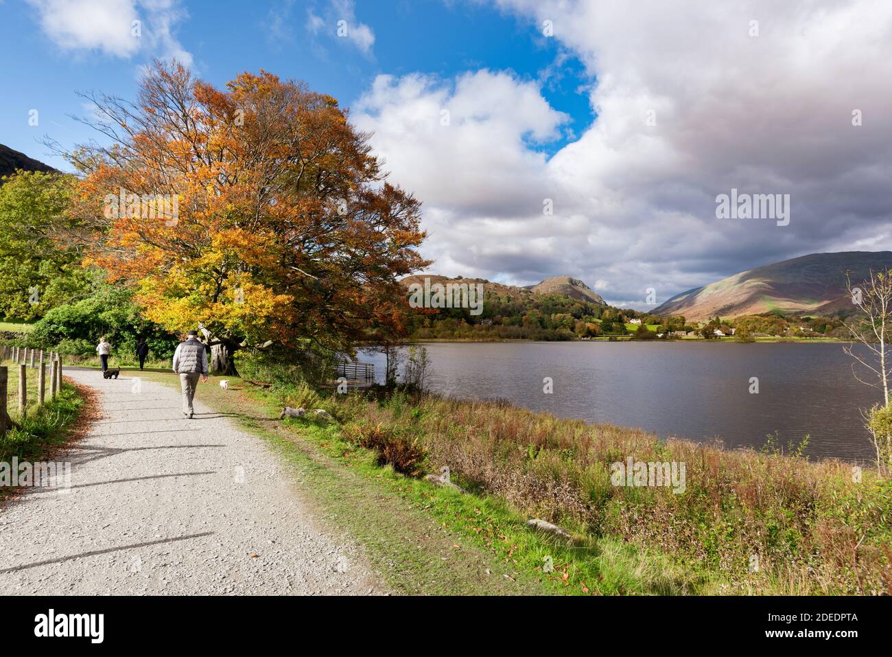 People walking with dogs on the path around Grasmere in the Lake District. The footpath popular with both tourists out for a stroll and hikers Stock Photo