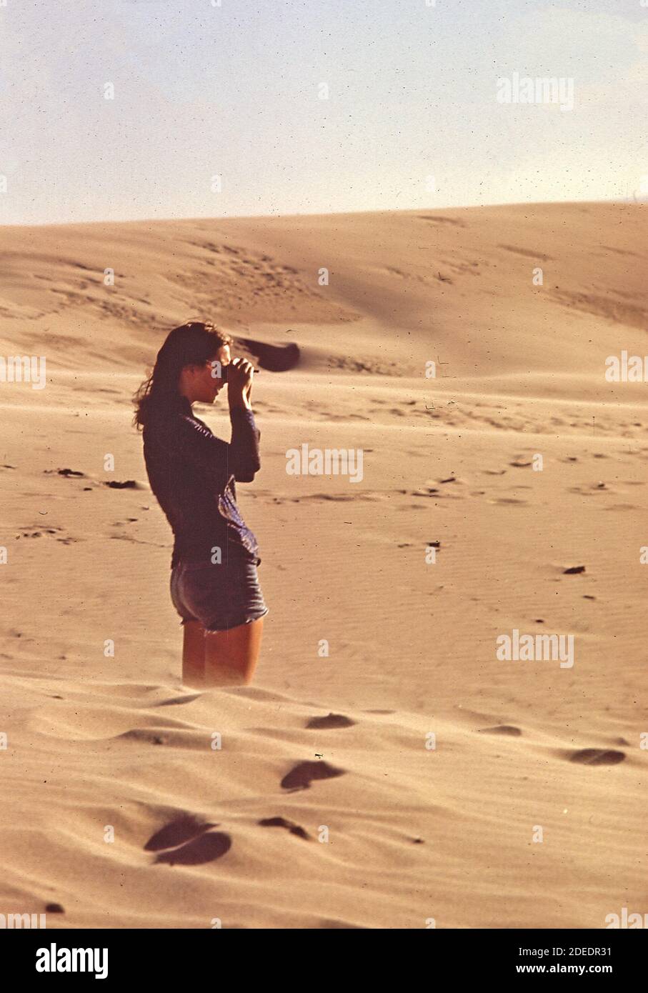 1970s Photos (1972) -  Looking across the dunes (Oregon) Stock Photo