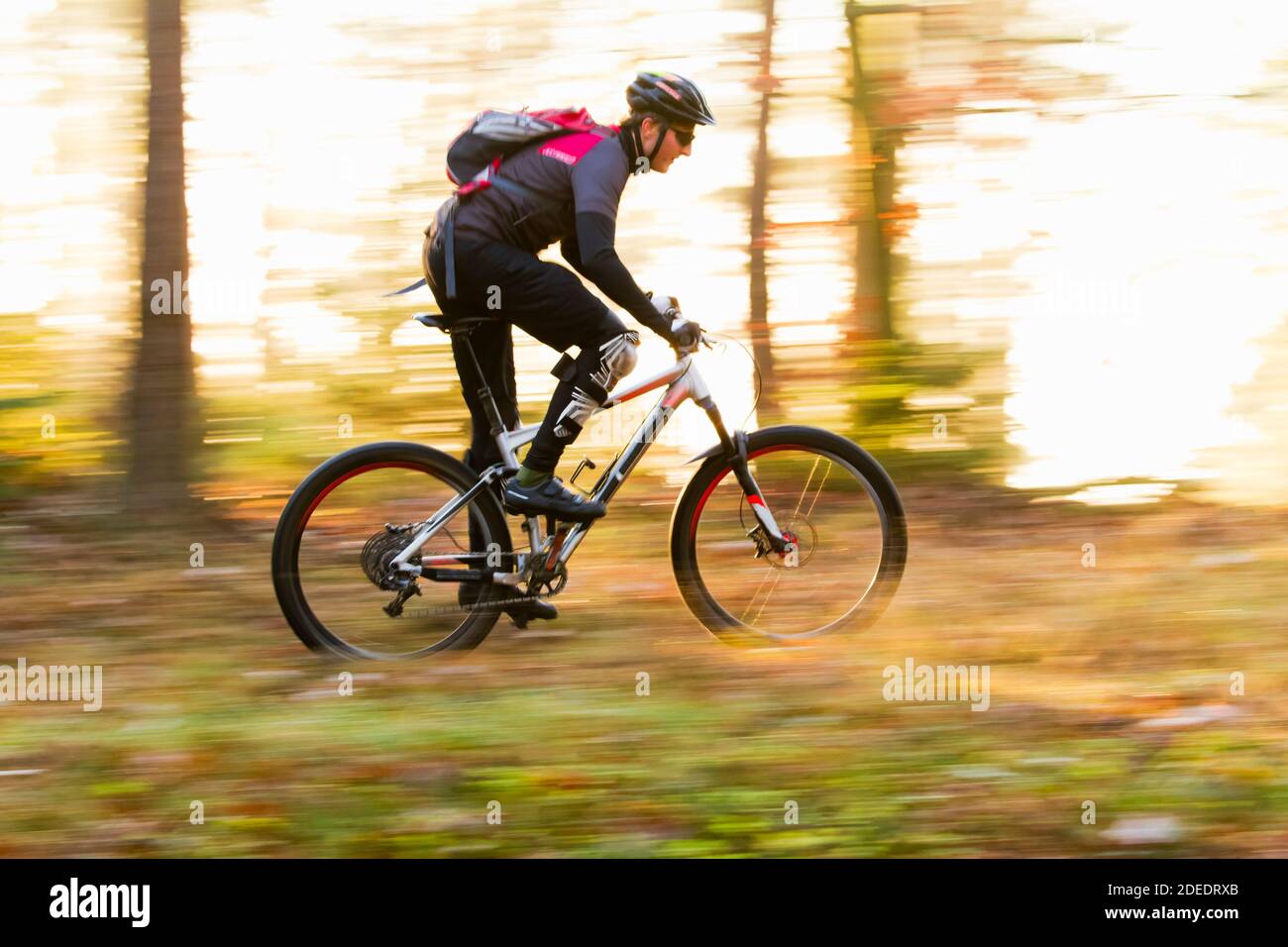 Man cycling fast with mountainbike in a forest in fall - motion blurred Stock Photo