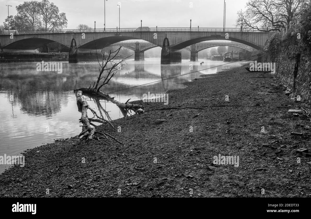 Twickenham Bridge with the river Thames at low time and winter mist on the water in black and white with detrutus rubbish on the rriver bed Stock Photo