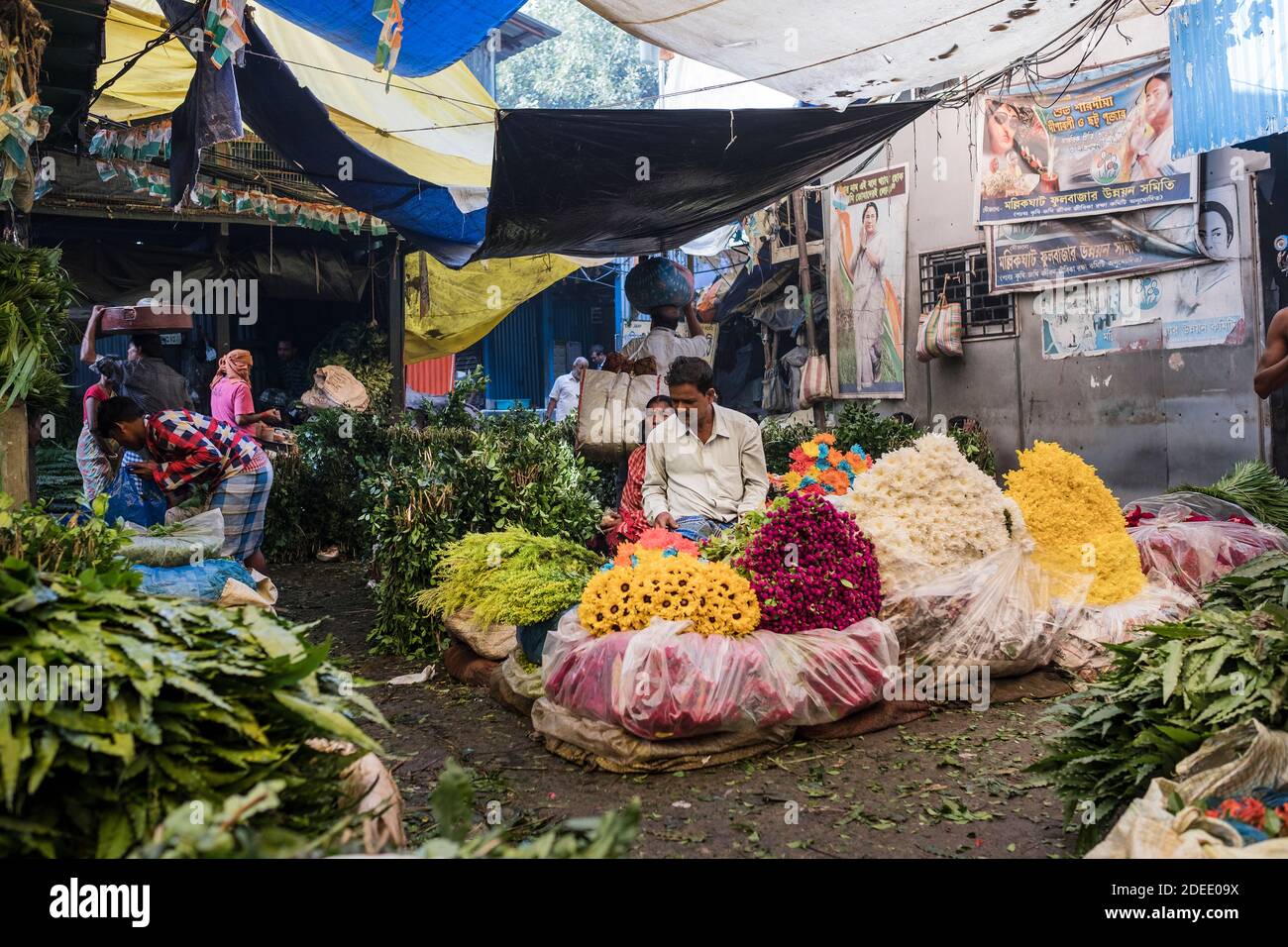 Kolkata flower market Stock Photo Alamy