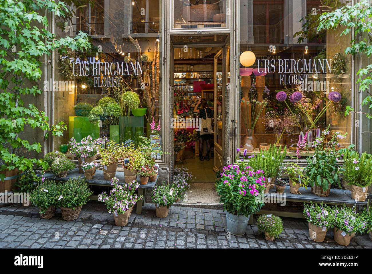 Former Pharmacy now a Flower Shop in Zurich, Switzerland Stock Photo