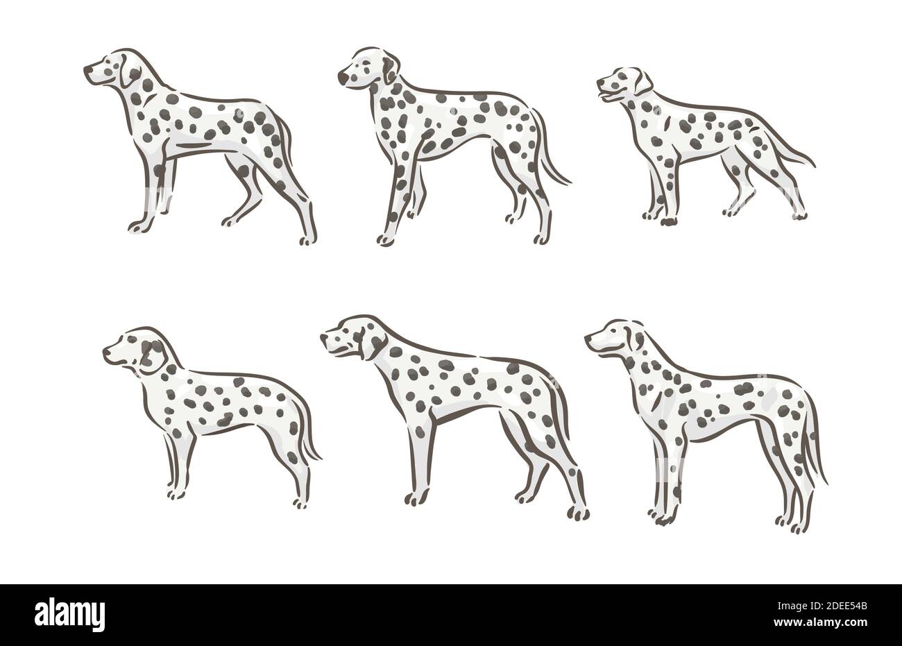 Cute dog dalmatian breed pedigree vector illustration Stock Vector ...