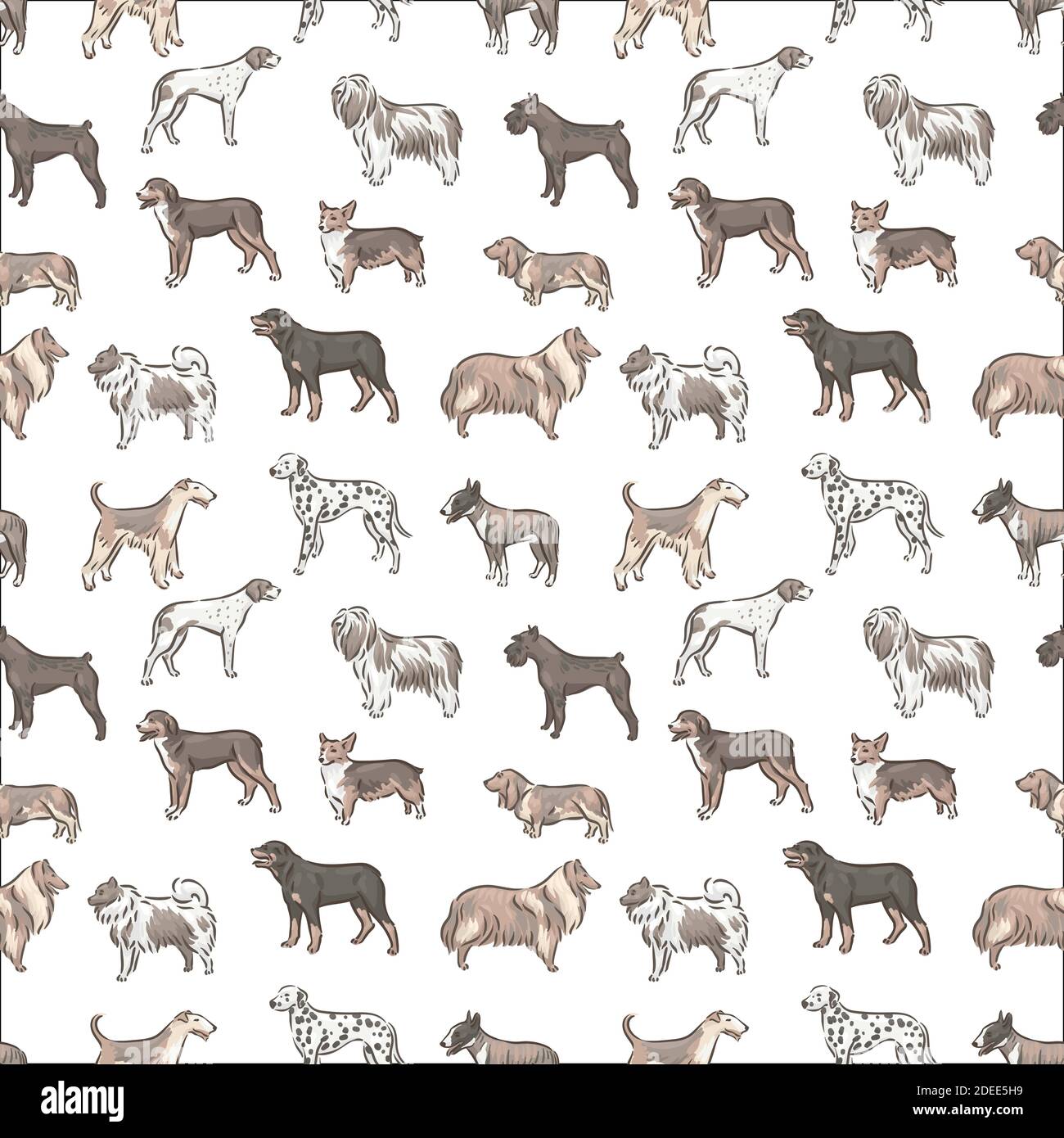 Cute dog breeds pedigree seamless pattern vector illustration set Stock Vector