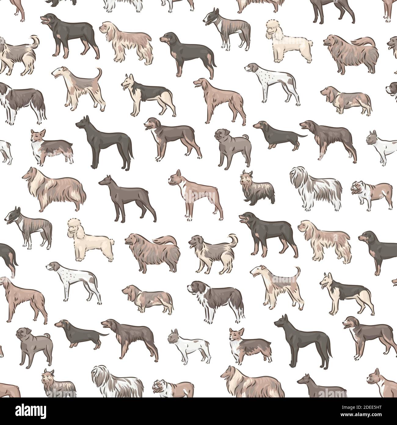 Cute dog breeds pedigree seamless pattern vector illustration set Stock Vector