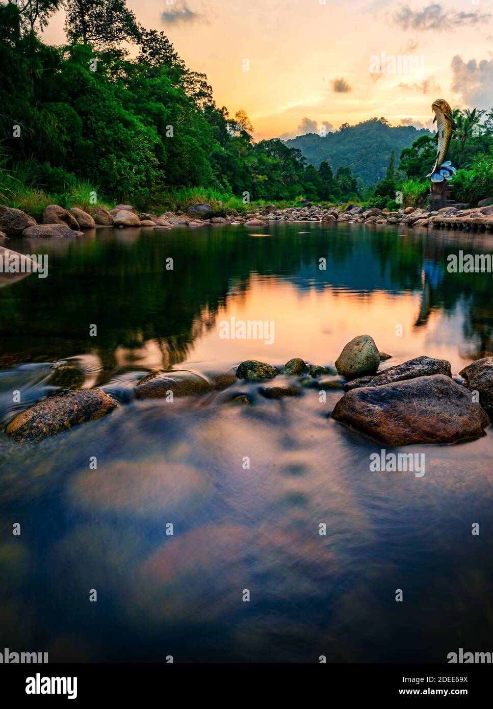 River stone and tree with sky and cloud colorful, View water river tree, Stone river and tree leaf in forest Stock Photo