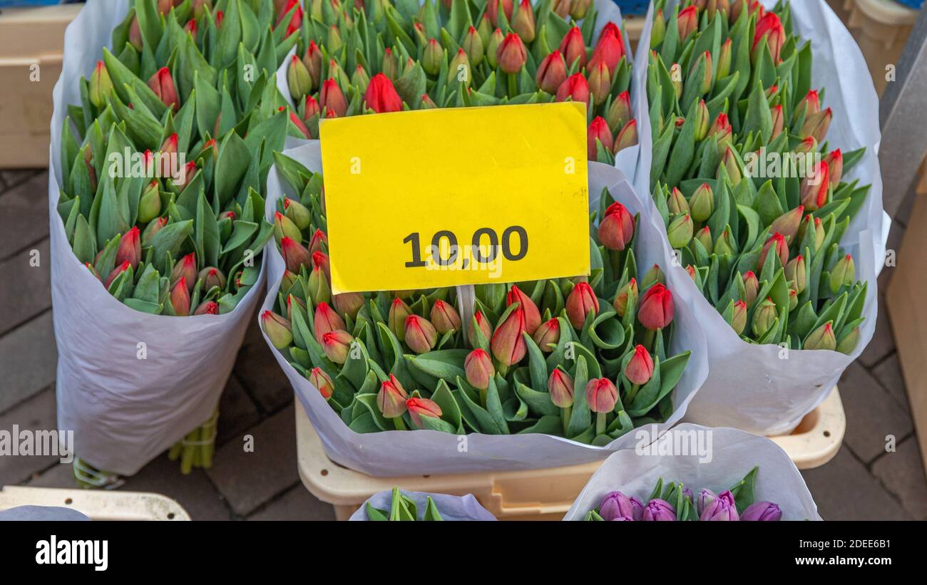 Bouquets of Fresh Tulip Flowers From Holland Stock Photo Alamy