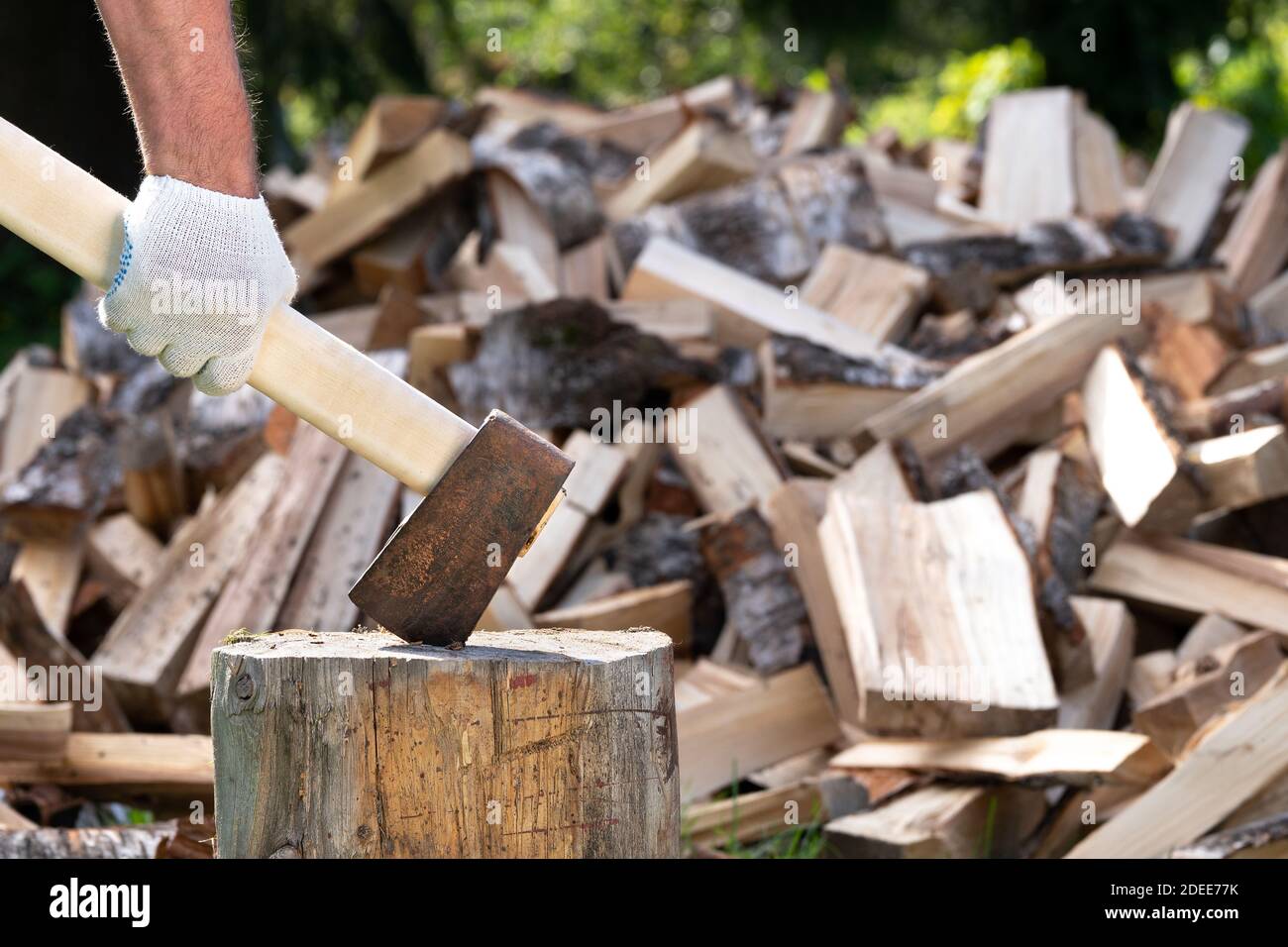 Hand axe stuck on log hi-res stock photography and images - Alamy